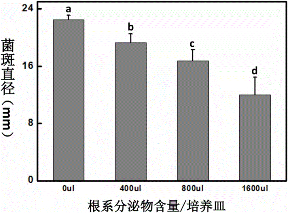 8883澳门新莆京老版本